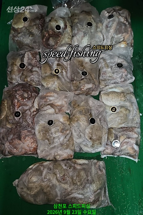 KakaoTalk_20260923_085946763.jpg
