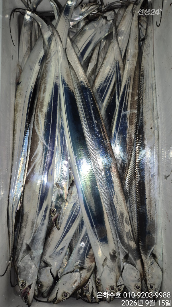 1000051407.jpg