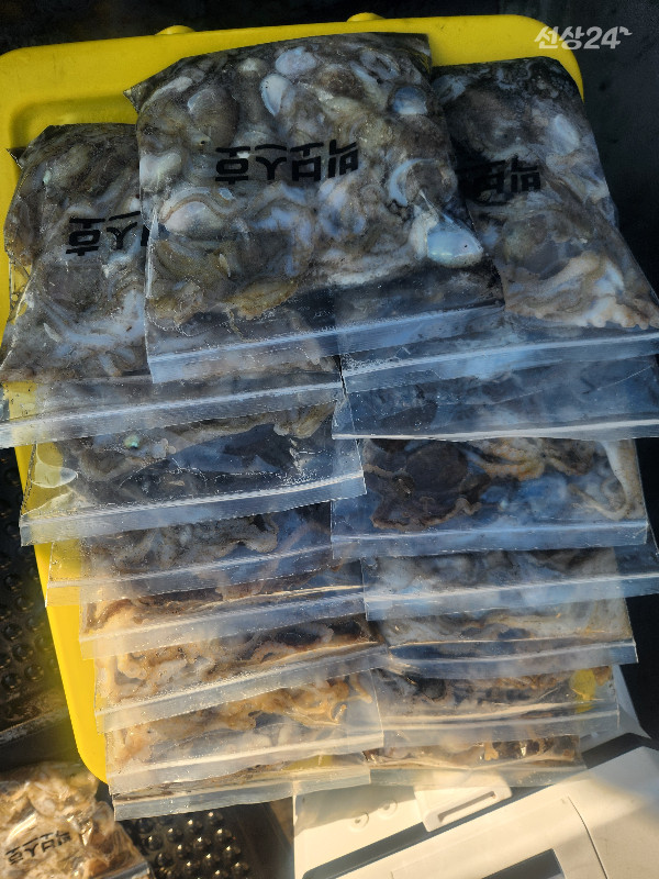 KakaoTalk_20260920_193726993_05.jpg
