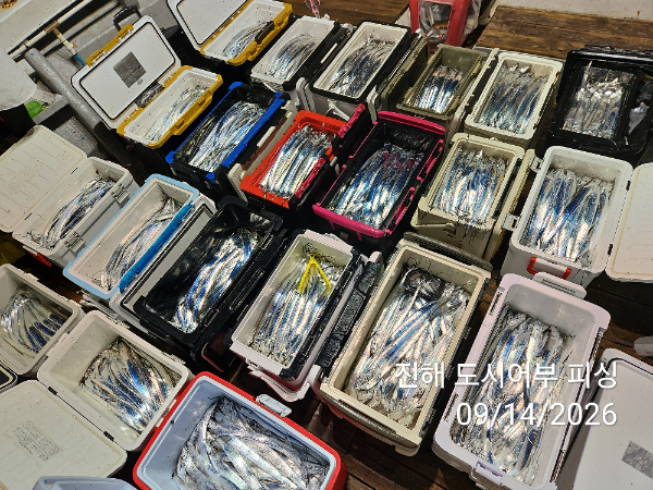 KakaoTalk_20260914_045414421_13.jpg