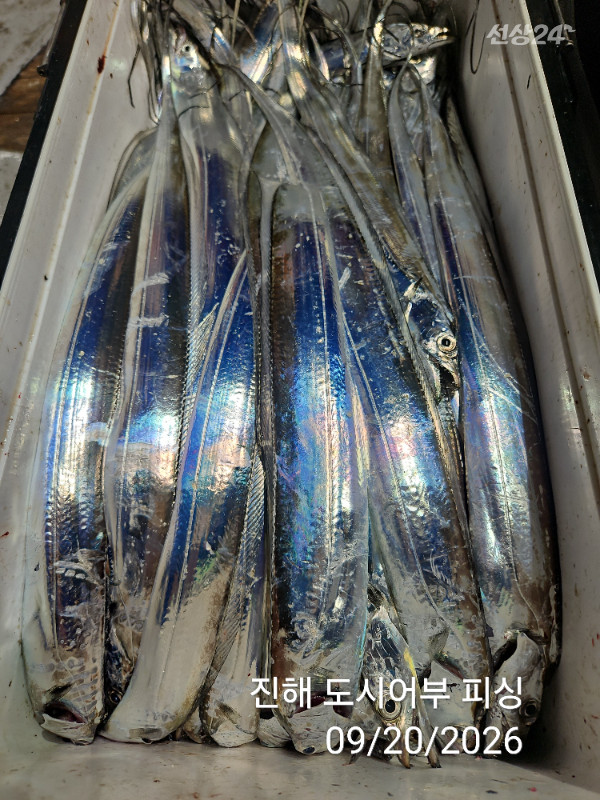 KakaoTalk_20260920_052035482_22.jpg