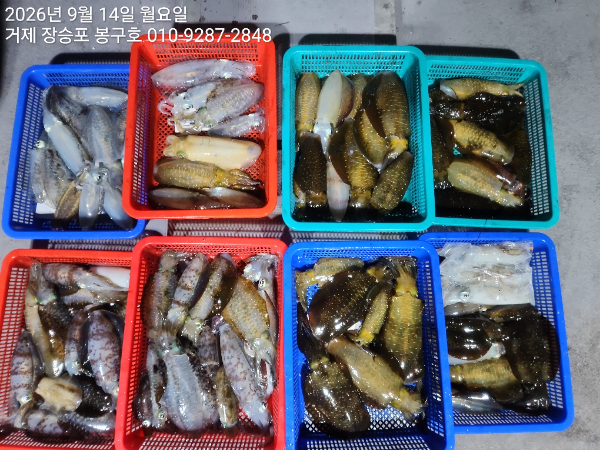 KakaoTalk_20260914_060824057.jpg