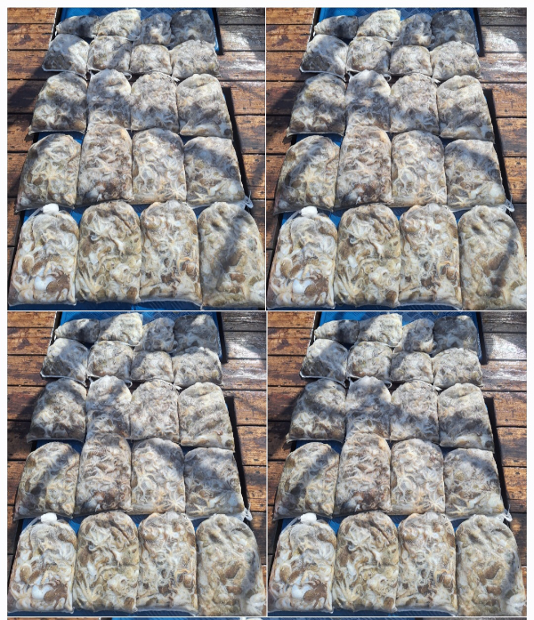 1000080210.jpg