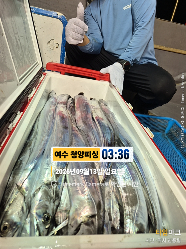 2026-09-13 03.36.26__(제목-여수 청양피싱).jpg
