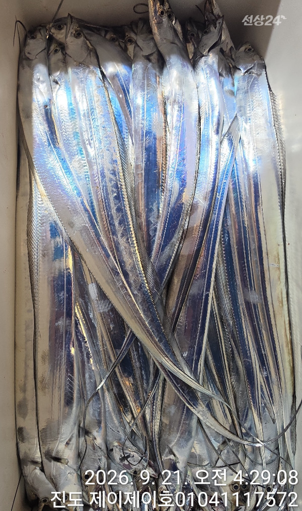 1000055377.jpg