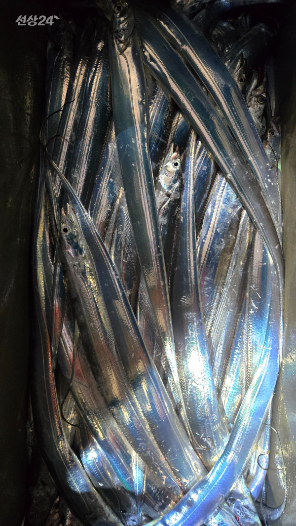 1788644670938.jpg