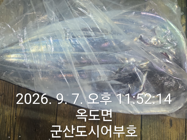 1000019934.jpg