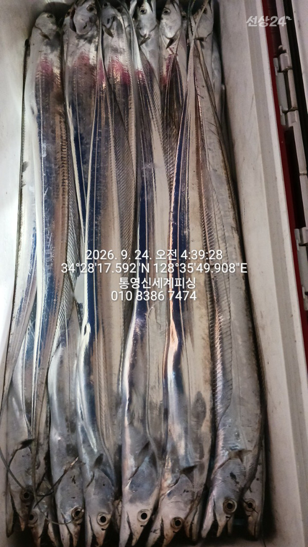 1790198900802.jpg