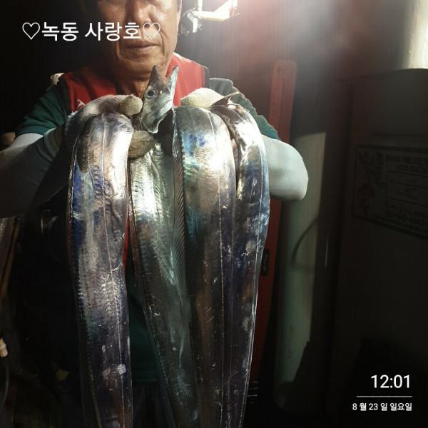 3900.jpg
