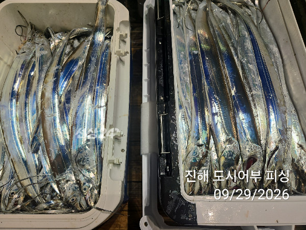 KakaoTalk_20260929_052220398_16.jpg