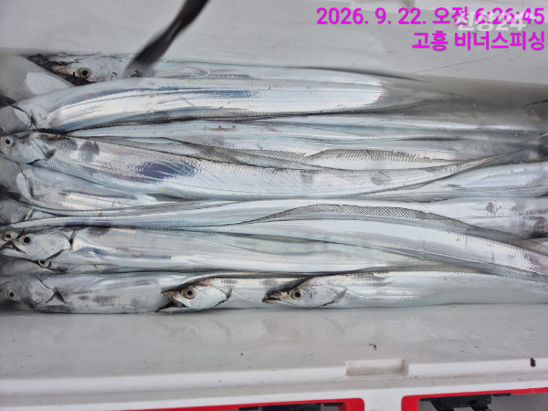 1000056162.jpg