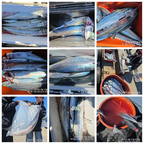 PhotoCollage_1789222818757.jpg