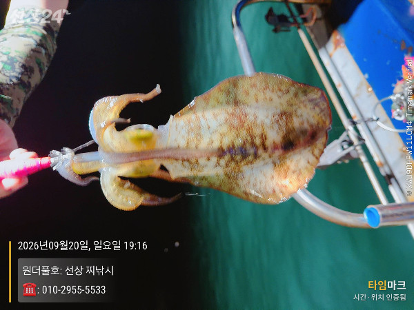 2026-09-20 19.16.49_(원더풀호-선상 찌낚시)_(-010-2955-5533).jpeg