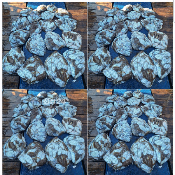 1000081911.jpg
