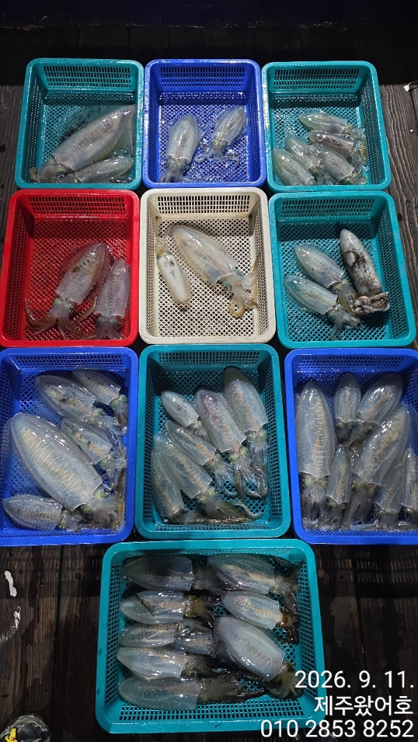 제주왔어호_사진_20260912_1.jpg