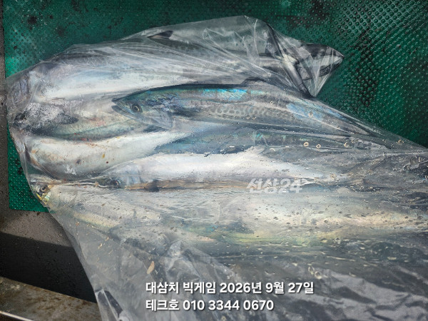 KakaoTalk_20260927_125002672_04.jpg