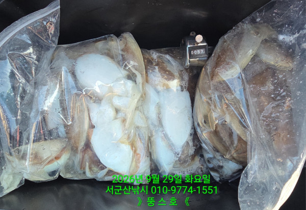군산 선상낚시, 바다낚시 출조 전문 ☆서군산낚시☆_사진_20260929_3.jpg