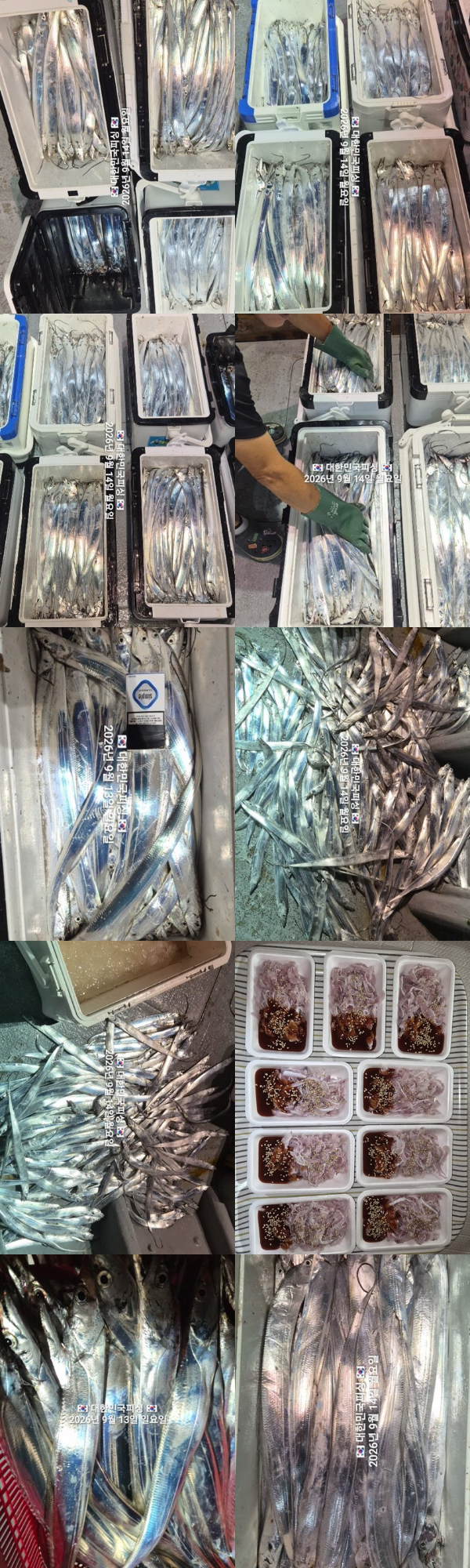 갈치2.jpg