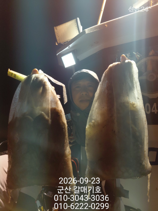 9479.jpg