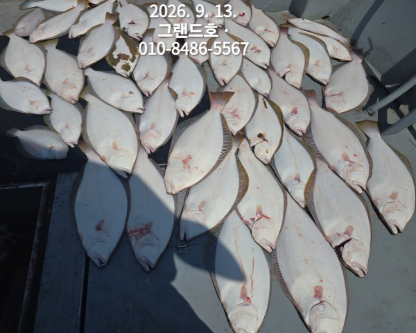 1000035086.jpg