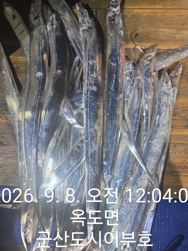 1000019945.jpg