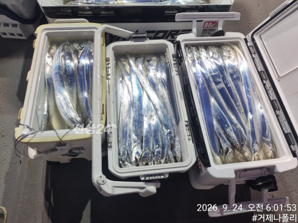 KakaoTalk_20260924_150808705_07.jpg