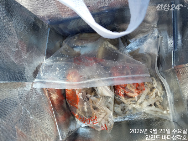 KakaoTalk_20260923_190528616_01 (1).jpg