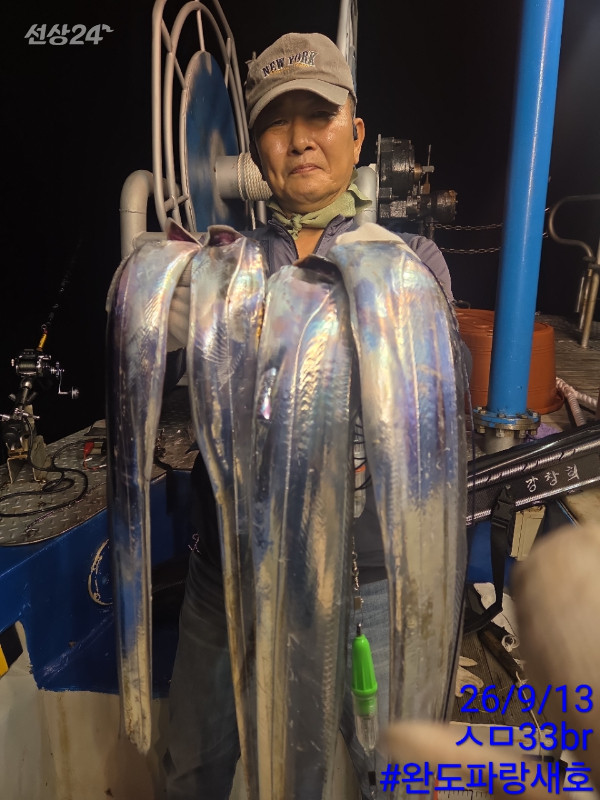완도파랑새호(블루버드)_사진_20260913_13.jpg