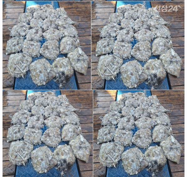 1000080756.jpg
