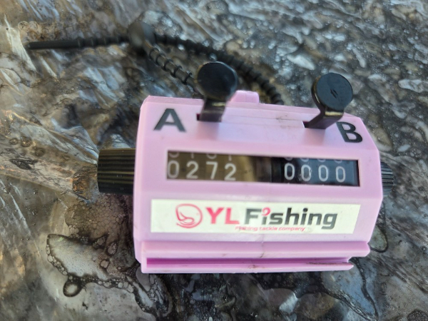 22350.jpg