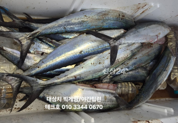 KakaoTalk_20260924_185225760.jpg