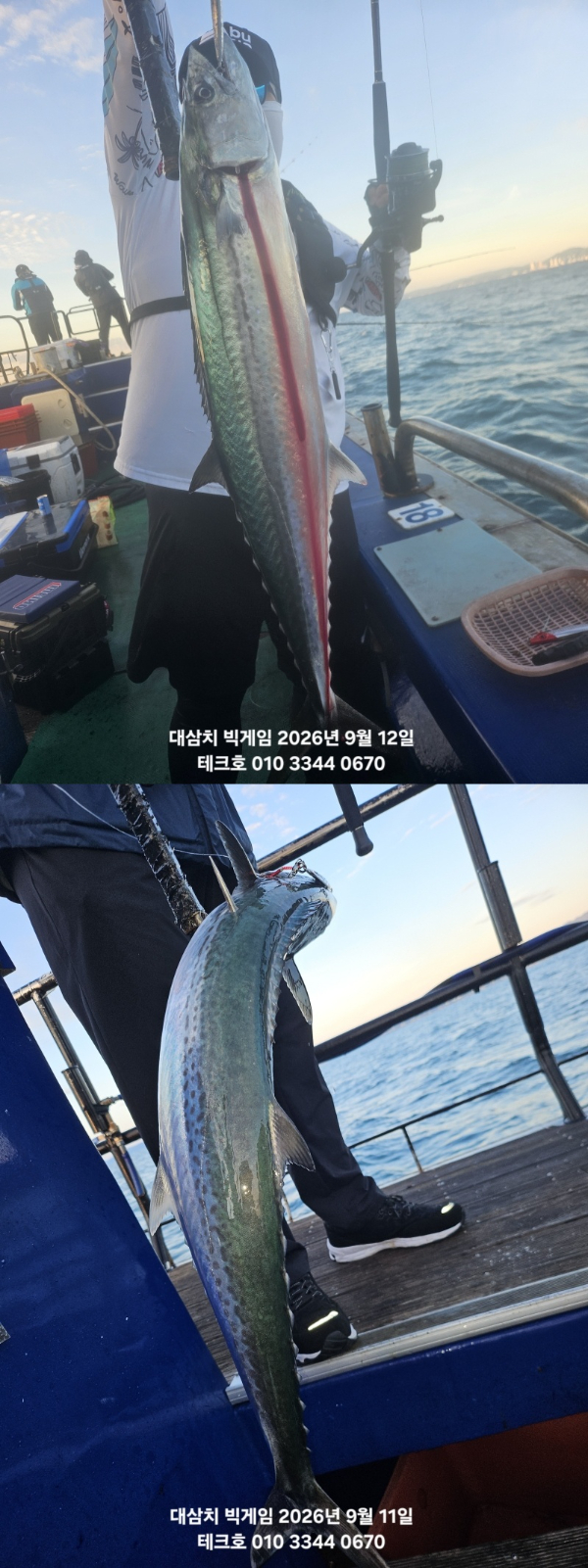 KakaoTalk_20260912_092407295_12-vert.jpg