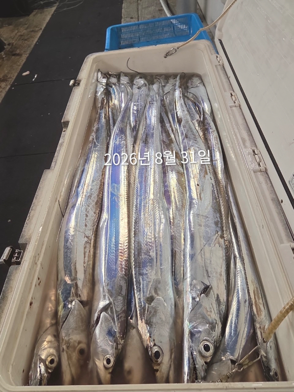 ECAE1640-6280-4325-BFAB-EF727BD227AE.jpeg