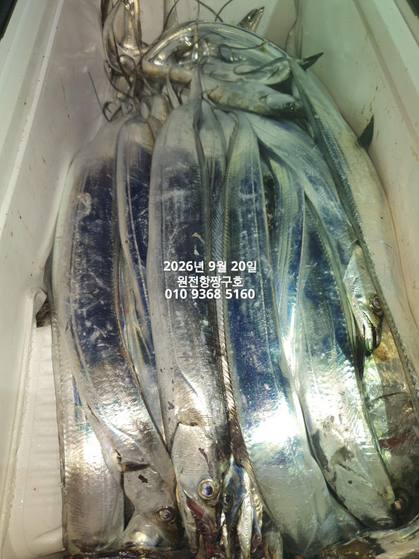 KakaoTalk_20260920_043734565_09.jpg