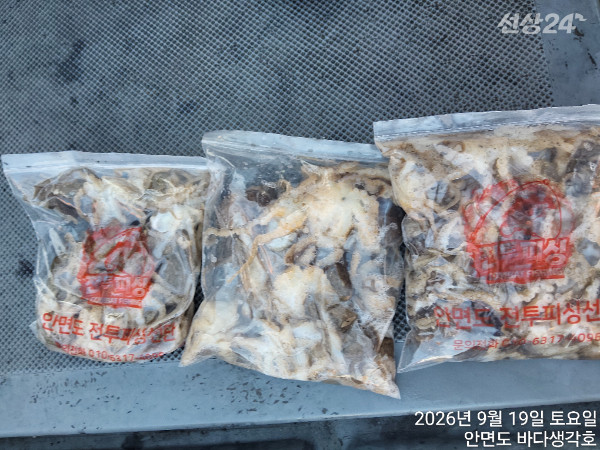 KakaoTalk_20260919_190144442.jpg
