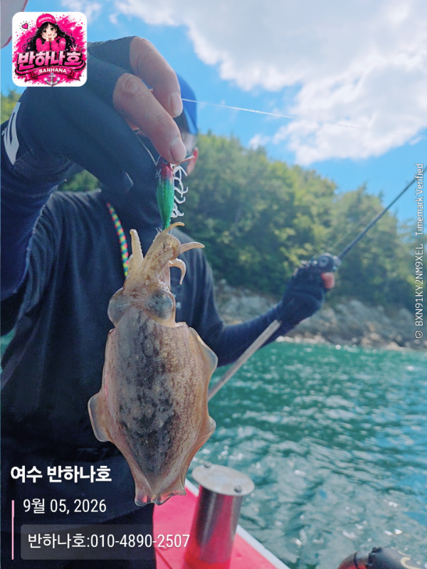 2026-09-05 13.08.49__(제목-여수 반하나호)_(반하나호-010-4890-2507).jpg