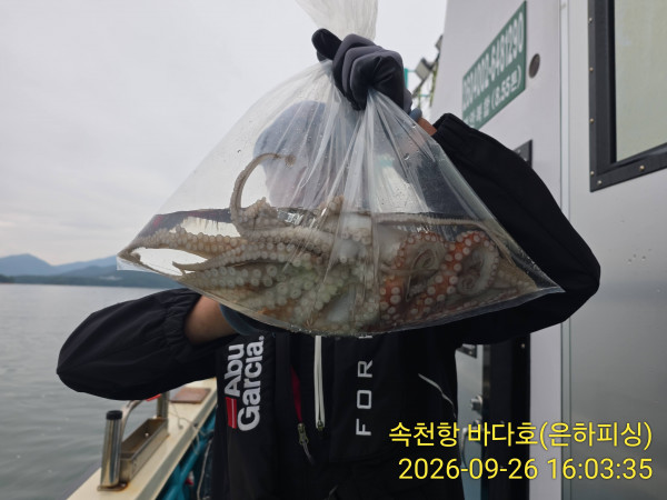 IMG_20260926_160335.jpg