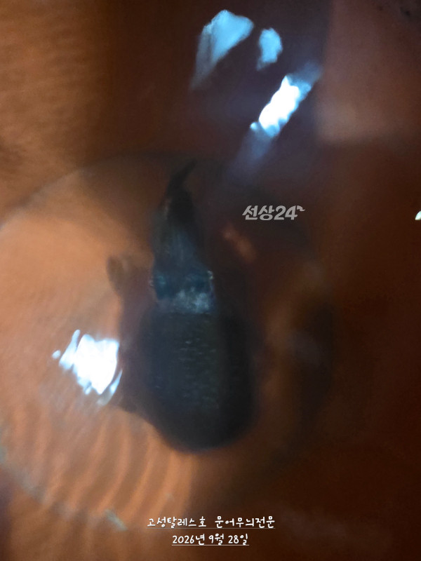 20260927_011027.jpg
