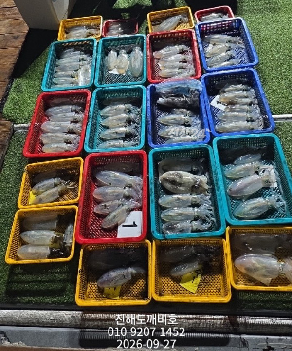 8497.jpg