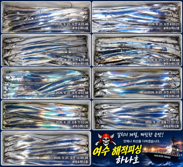 file_00000000b3fc81f5bb47908ee84891cd.png
