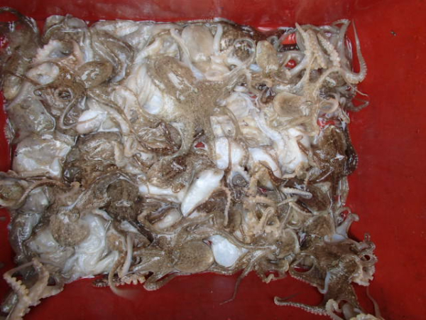 310.JPG
