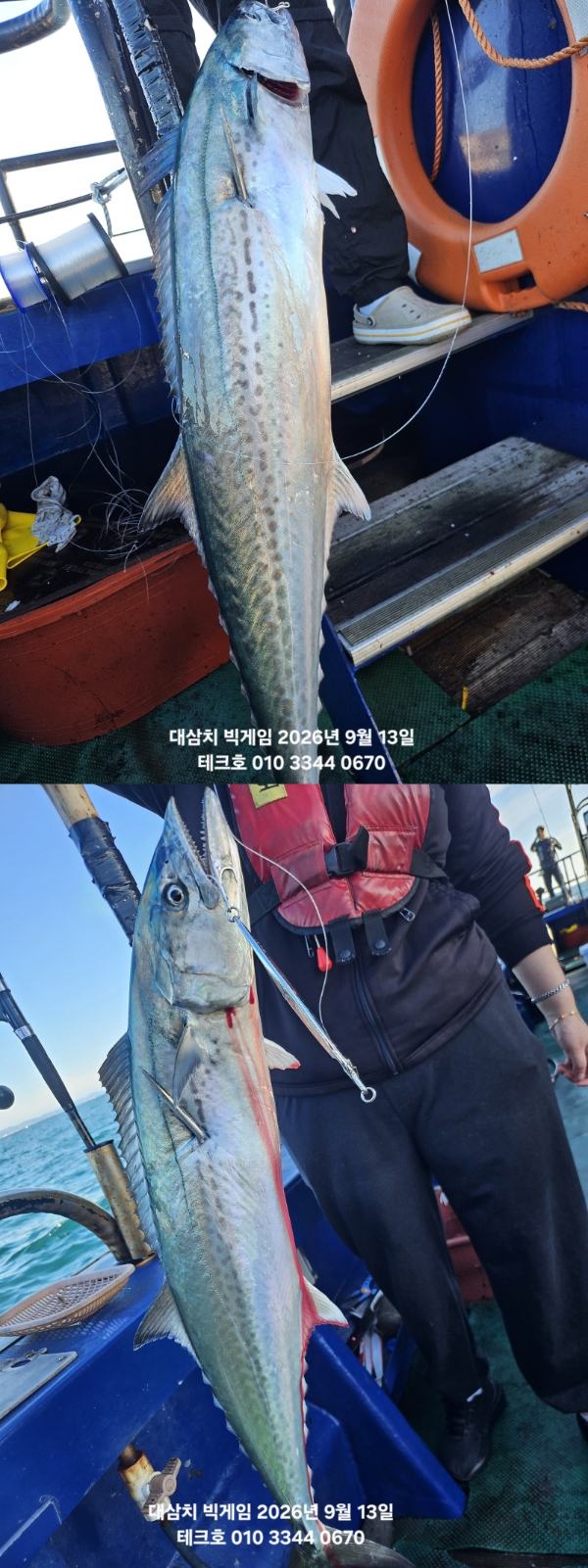 KakaoTalk_20260913_082428754_19-vert.jpg