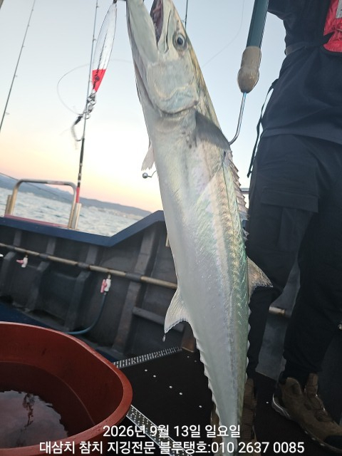 20260913_060629.jpg