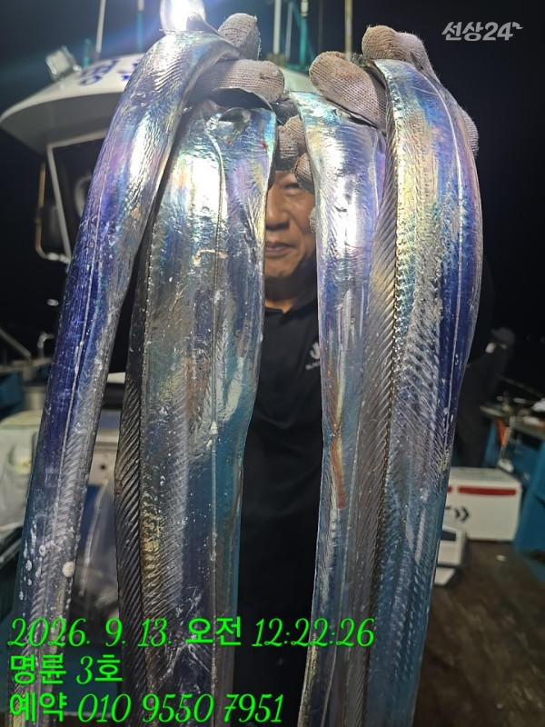 KakaoTalk_20260913_065043950_01.jpg
