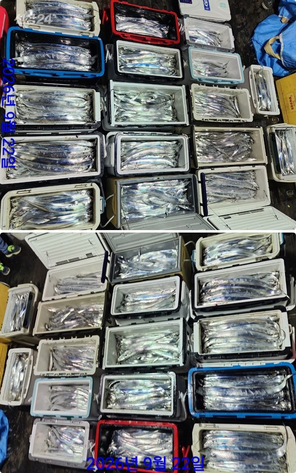 22일갈치하3.jpg