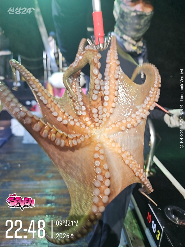 h_2ibUd018svcw21nrt1w3c1h_82sd02.jpg