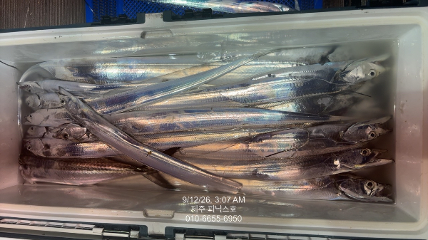 EABDF375-6AB0-4DD1-A8E2-14FD32C2F892.jpeg