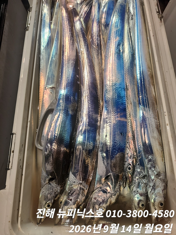 1000099570.jpg