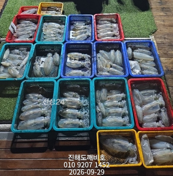 8711.jpg
