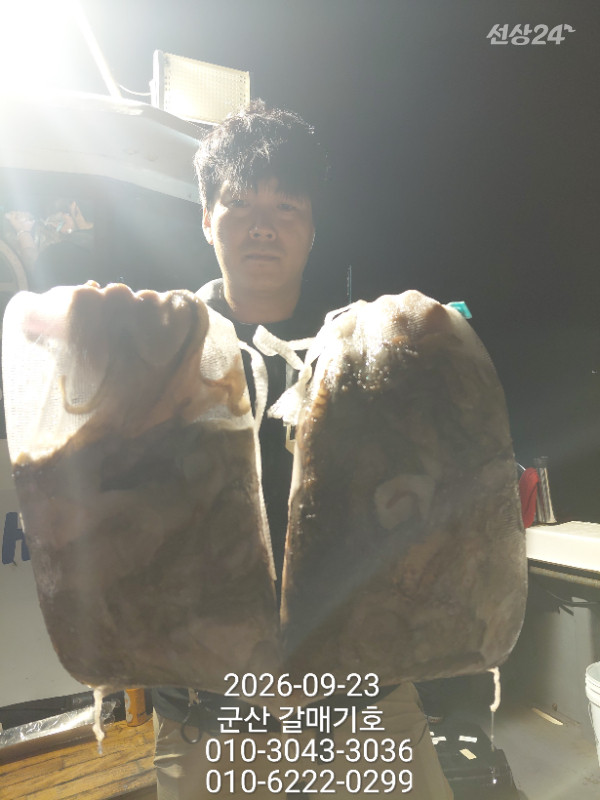 9477.jpg